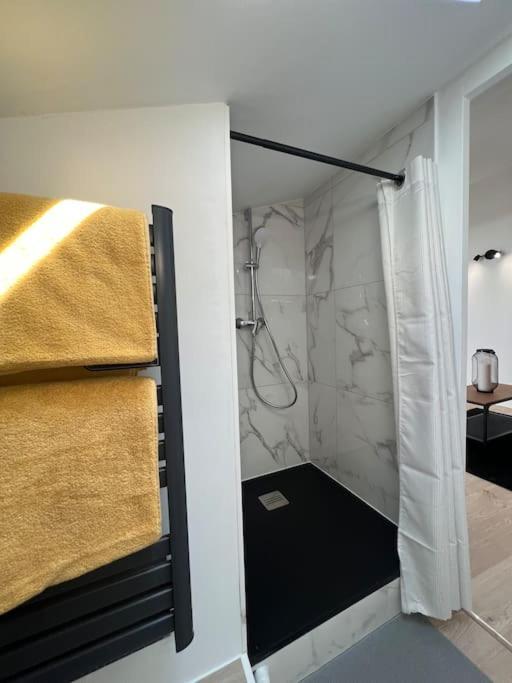 L'Ecrin De Bayard - Studio Climatise Hyper-Centre Toulouse Ngoại thất bức ảnh