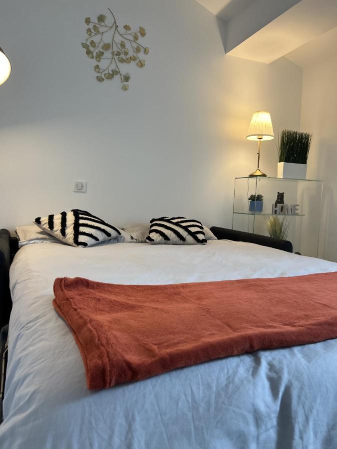 L'Ecrin De Bayard - Studio Climatise Hyper-Centre Toulouse Ngoại thất bức ảnh
